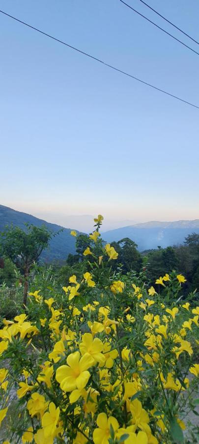 New Bloom Homestay Kurseong Exterior photo