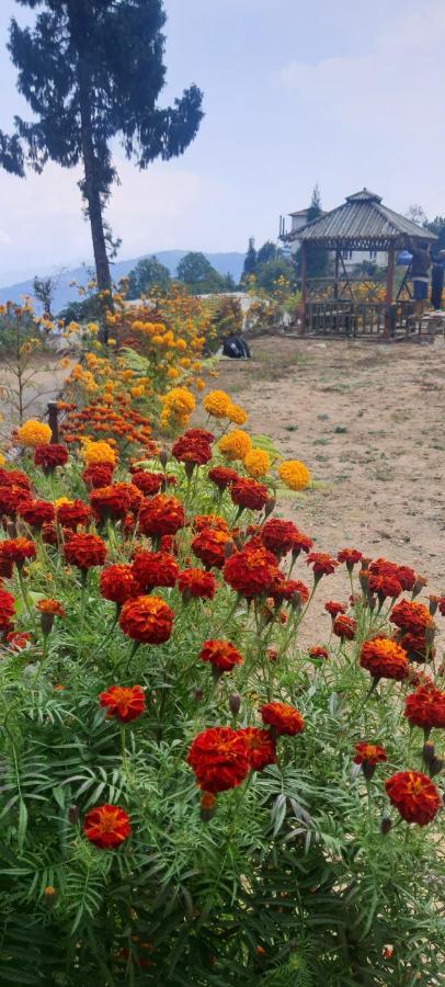 New Bloom Homestay Kurseong Exterior photo